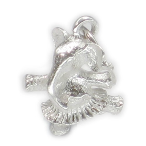 Ciondolo argento sterling - in,