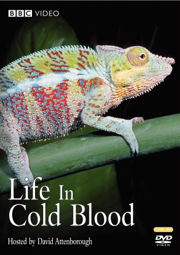 Bbc video life cold blood - video, in