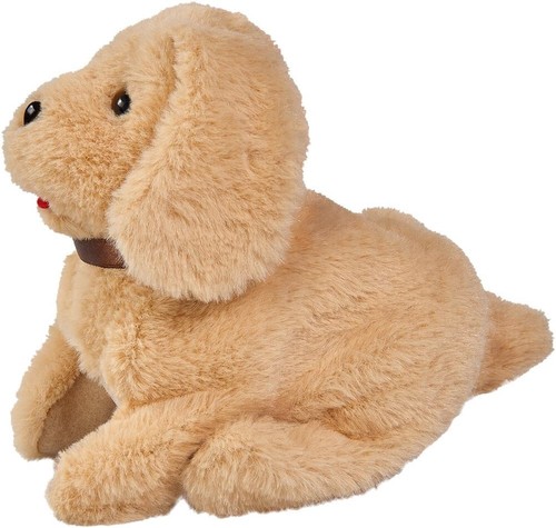 Chi love salto - chi, puppy