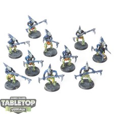 Impero Tau - 10x Carnivori