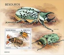 Coleotteri