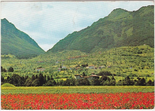 Panoramica del bleggio - panoramica,