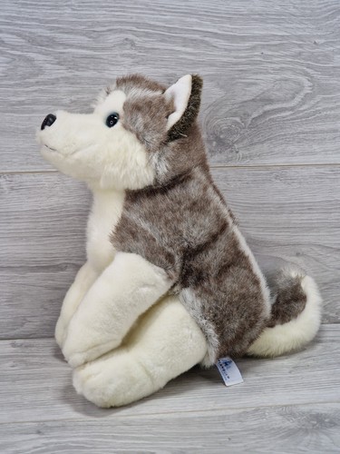 Lapponia siberian husky - lapponia,