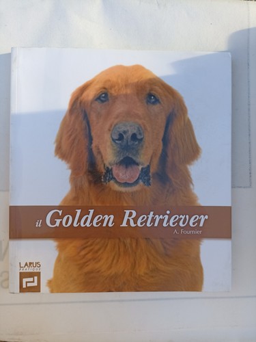 Fournier golden retriever - il,