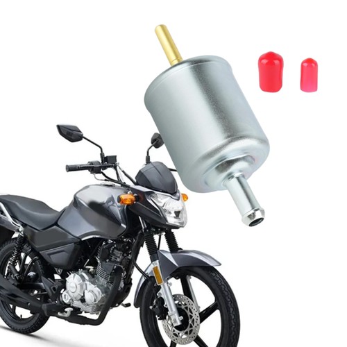 Gruppo filtro carburante