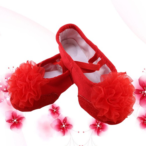 Paio scarpe da ballo con - paio, di