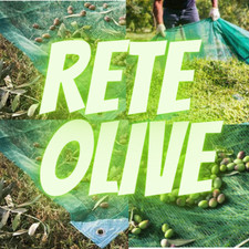Rete per raccolta olive, mandorle, noci e castagne Antispine 8x8 metri