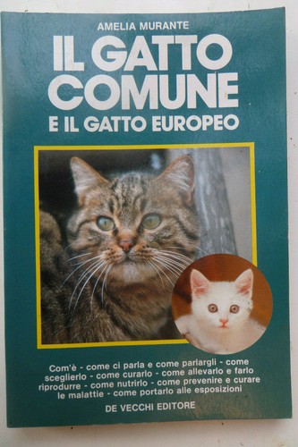 Gatto comune il - il, e