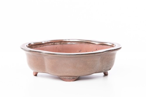 Vaso bonsai smaltato nuvola - vaso,