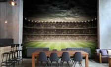 3D Stadium Lighting 34251NA