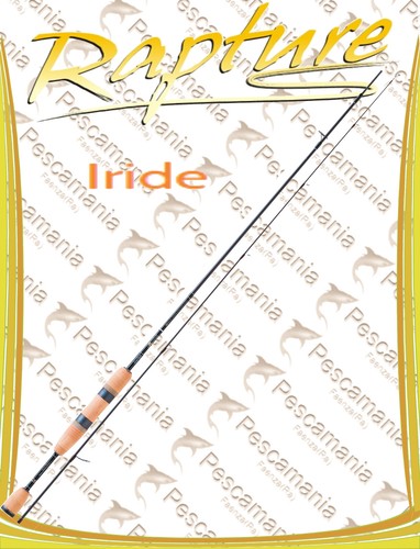 Canna spinning rapture iride - canna,