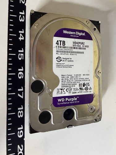 Disco rigido sata purple - rigido, wd
