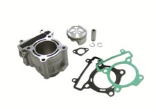 P400485100035 Gruppo termico