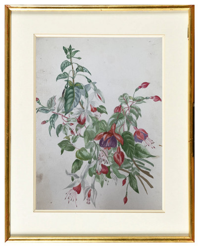 Gabriele thevenot - thevenot, (xix°)