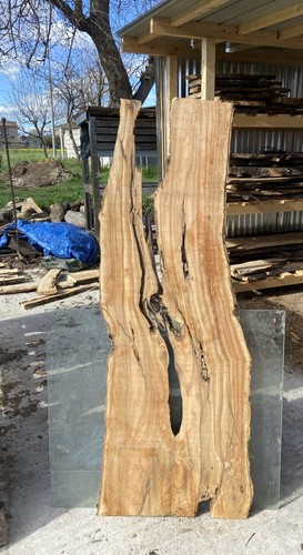 Tavola legno ulivo - tavola, di