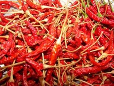 Semi di peperoncino piccante