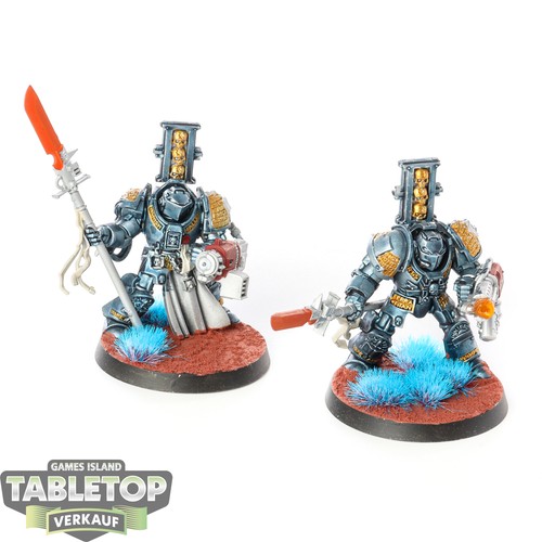Cavalieri grigi paladini - 2,