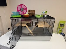 🐹 Gabbia per Criceti (Russi