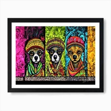 Colori Chihuahua - Tre