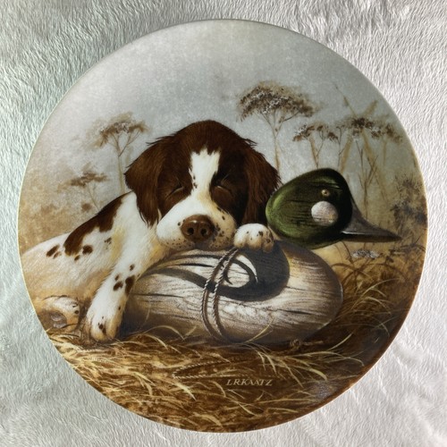 Dog tired the springer - -,