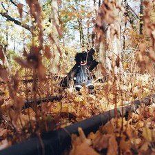 [NUOVO DI ZECCA] Billy Woods -