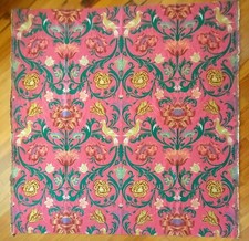 T.C. Lauer "Oiseau De Feu 3836 - Lampasso mt.1,28 x H 120 + cimose