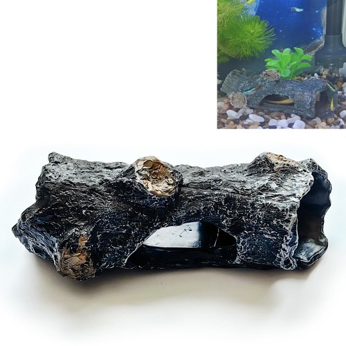 Syiyunran acquario grotta - acquario,
