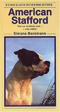 American Stafford: wie sie
