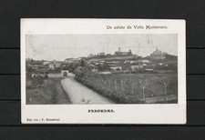 CARTOLINA  - LOMBARDIA - MANTOVA - UN SALUTO DA  VOLTA MANTOVANA - PANORAMA