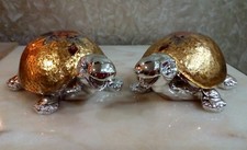 2 Tartaruga argento 925
