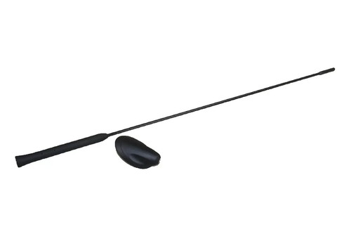 Asta antenna originale ford - antenna,
