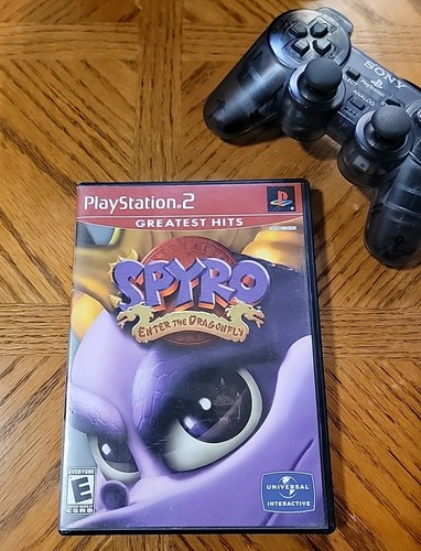 Spyro enter the dragonfly - enter,