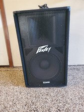 Peavey PV-115D 2-Way PA