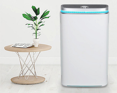 Purificatore/umidificatore