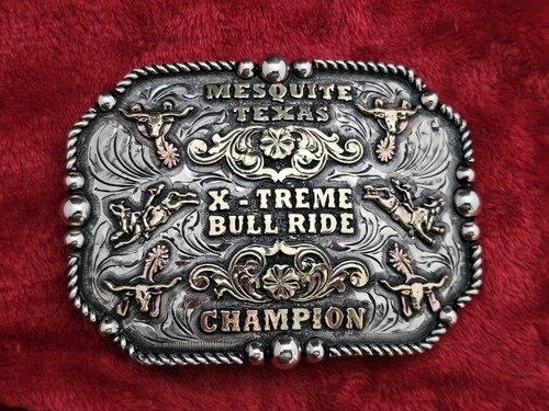 Bull riding - bull,