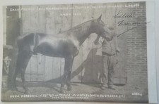 CARTOLINA GRAN PREMIO TROTTO