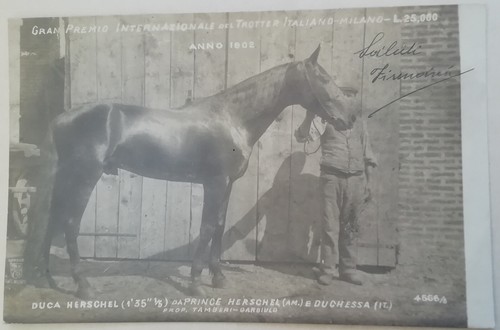 Cartolina gran premio - cartolina,