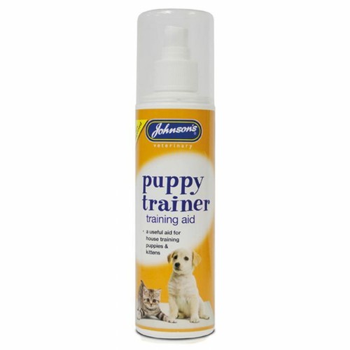 Johnson puppy kitten - puppy,