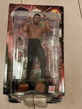 Shinsuke Nakamura The Artist