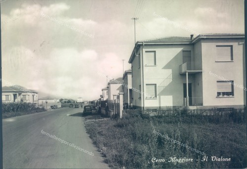 N535 cartolina cerro maggiore - cartolina,