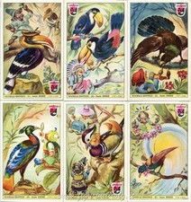 Figurine Lavazza serie n°32 Uccelli Esotici ANNO 1951 Chromo