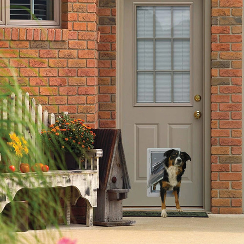 Ideal pet products designer - pet,