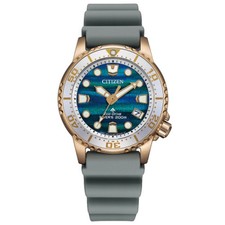 Citizen Promaster EO2023-00W