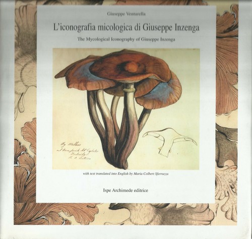 Libro illustrato dei - libro, funghi