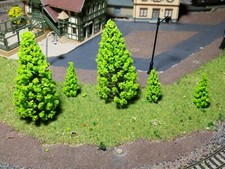 10 Abeti Verde Chiaro, Altezza