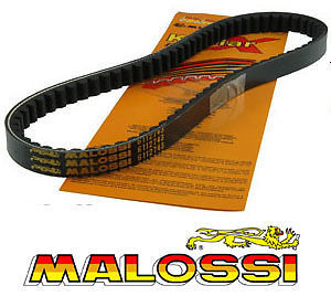 Courroie malossi renforcé - malossi,
