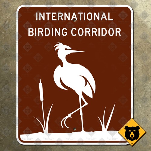 Texas international birding - texas,
