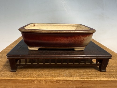 Bellissimo vaso per bonsai