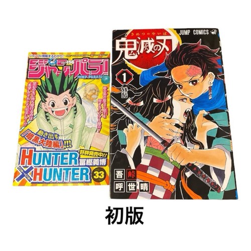 Demon slayer volume - demon, 1