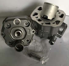 1090010 Gruppo Termico Polini